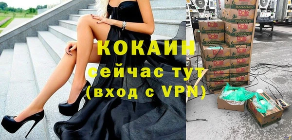 mdpv Ельня