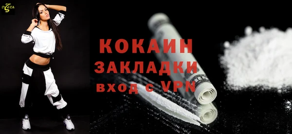 шишки Медногорск