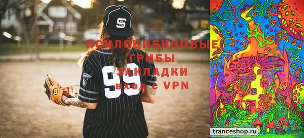 дмт Михайловск