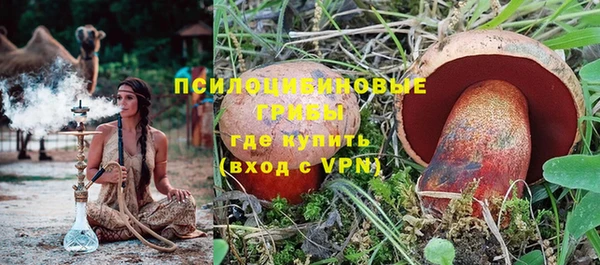 гашик Михайлов