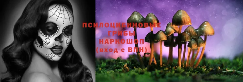 купить закладку  Красный Сулин  Псилоцибиновые грибы Magic Shrooms 