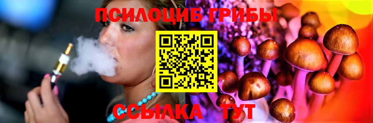 Псилоцибиновые грибы Psilocybe  Вход с VPN  Красный Сулин  даркнет сайт  Псилоцибиновые грибы MAGIC MUSHROOMS 